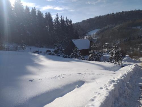 Domek za lasem — Laskowa — photo 5