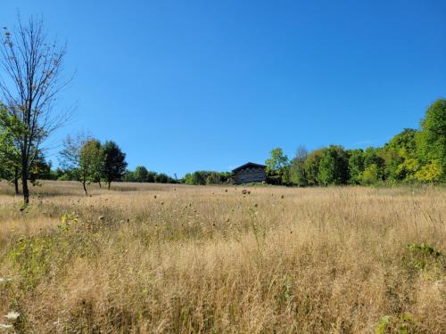 Firefly Creek Lodge - photo 15