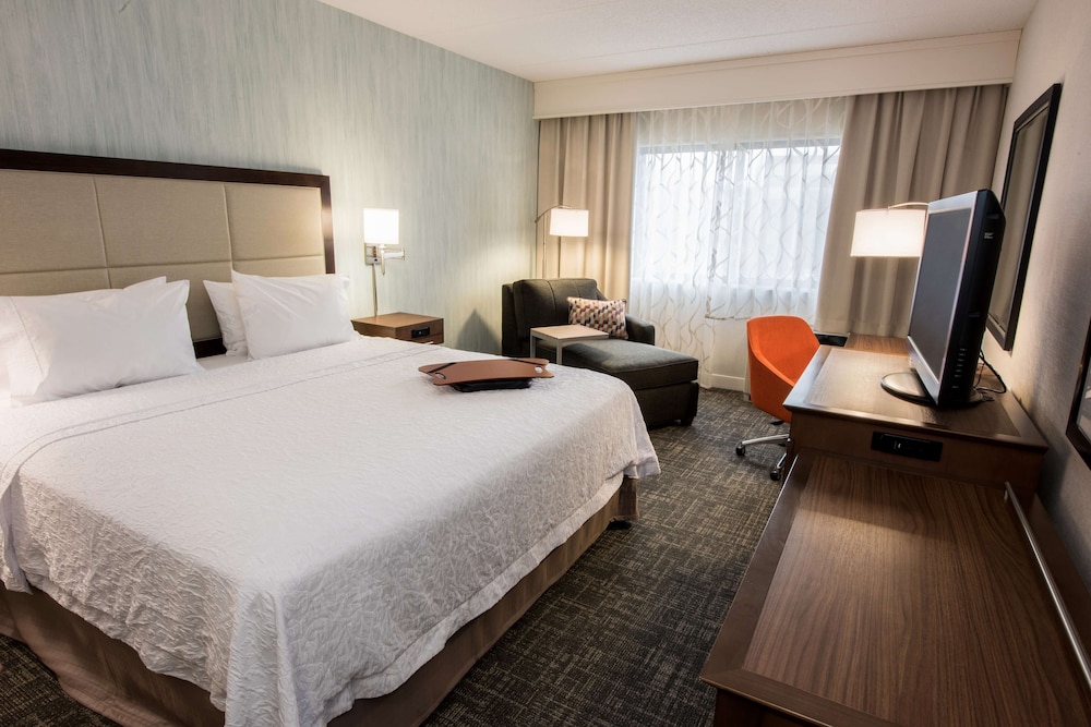 Hampton Inn Albany Western Ave University Area - photo 16