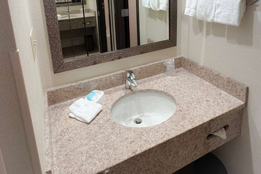 Heritage Inn & Suites St. Louis Fenton Trademark by Wyndham - photo 22