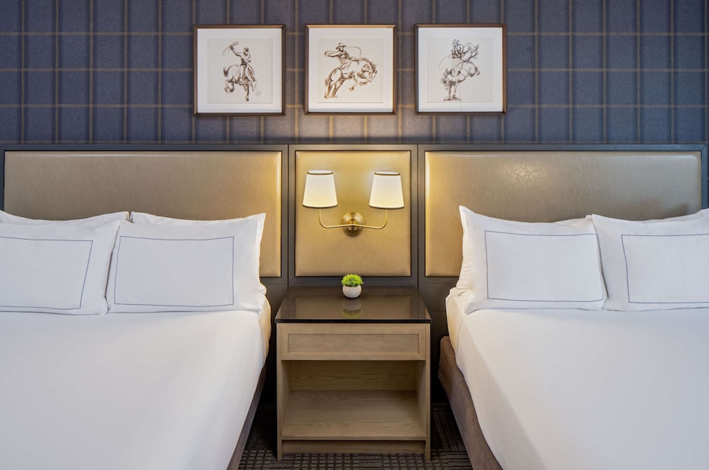 Hilton San Antonio Hill Country - photo 20