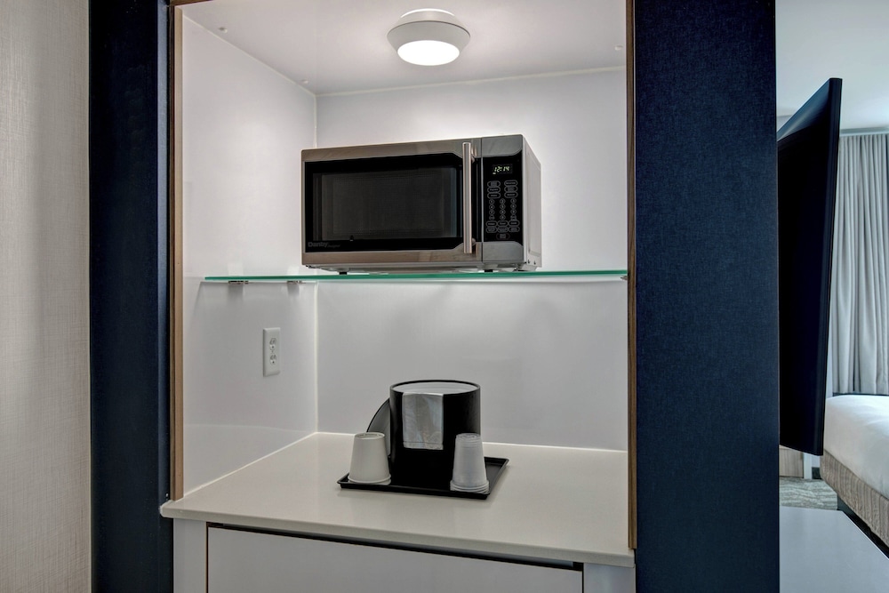 SpringHill Suites by Marriott Orangeburg - photo 11