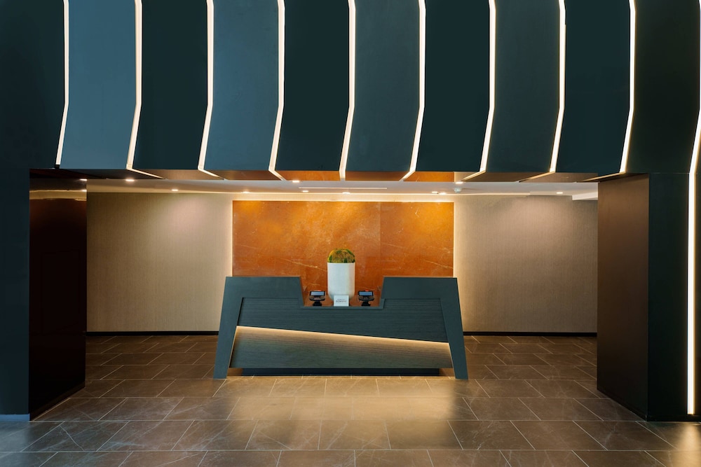 AC Hotel by Marriott Tallahassee Universities at the Capitol - photo 8