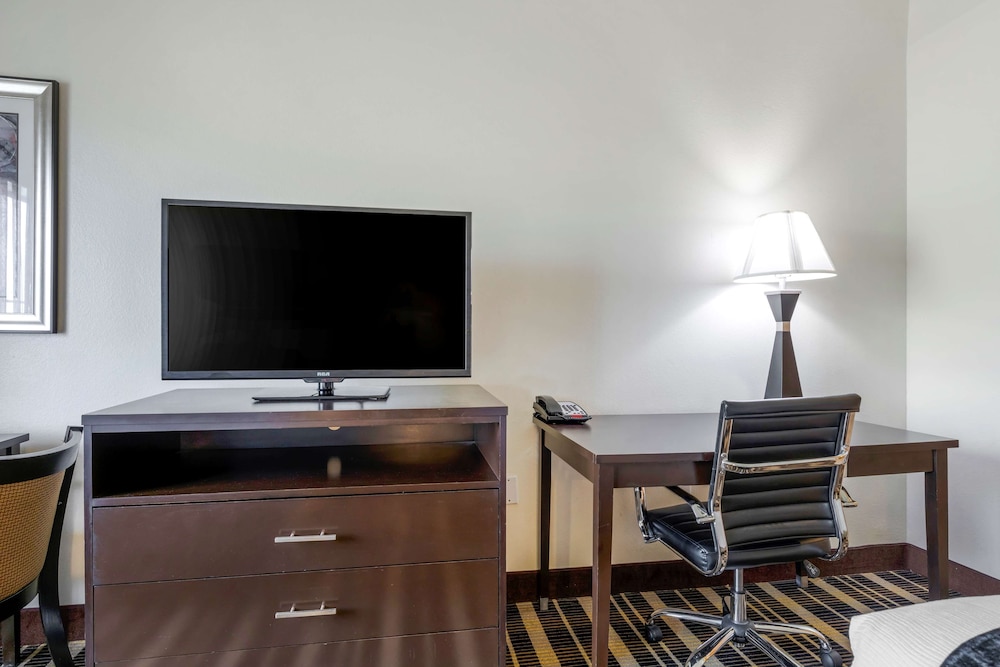 Best Western Plus Rockwall Inn & Suites - photo 13