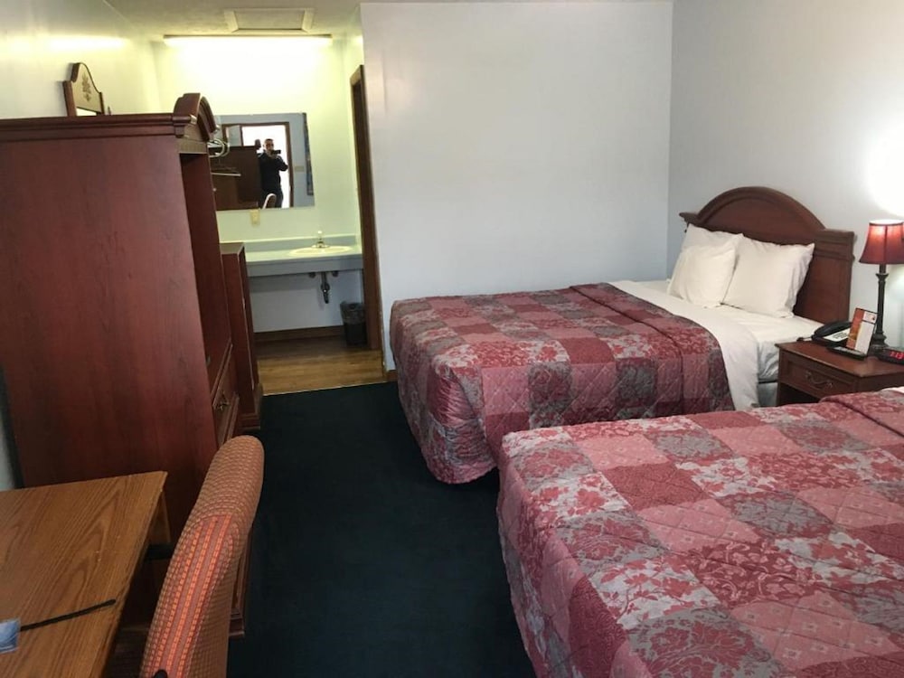 Huggy Bear Motel - photo 3