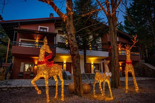 MZ Reindeer in Aspropyrgos, Greece