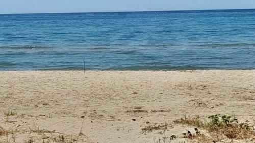 Fin Fiori in Menfi, Italy