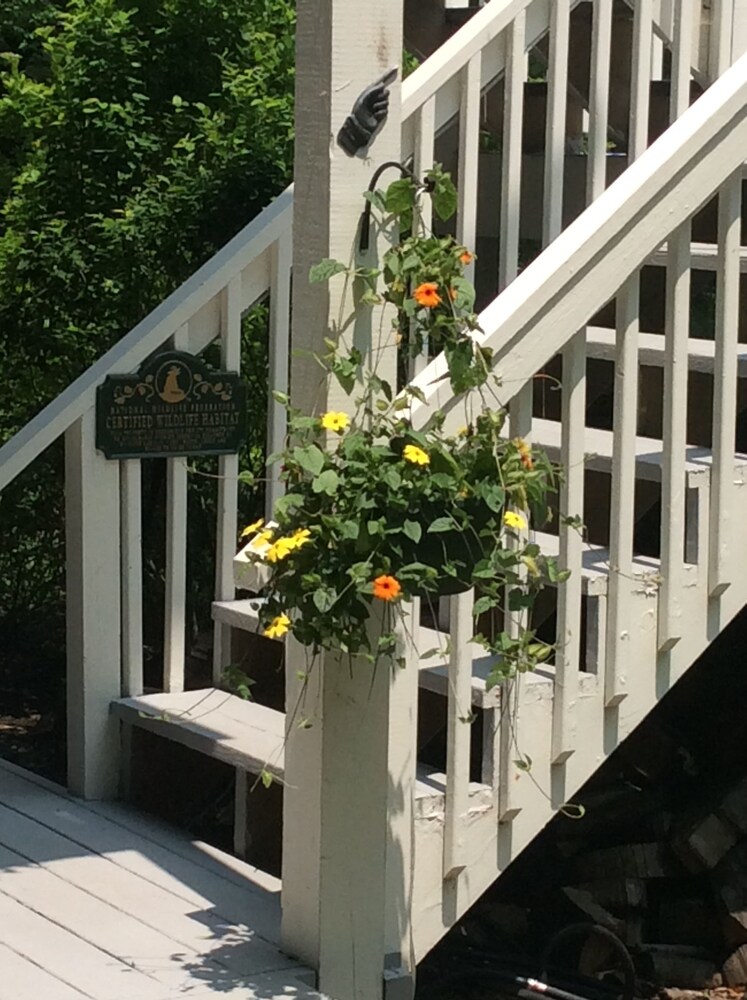 Bald Mountain House Inn at the Wolf Laurel Resort - photo 43