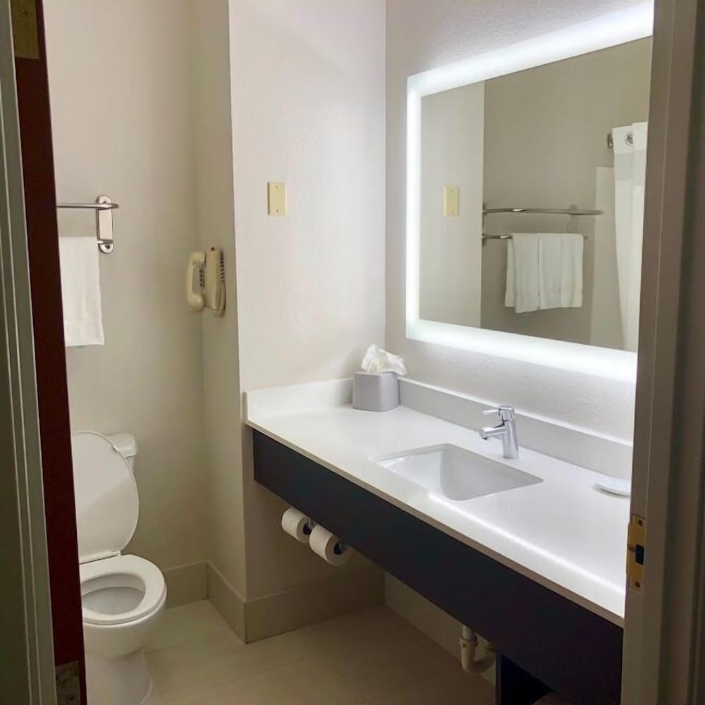 Holiday Inn Express Hotel & Suites Decatur by IHG - photo 24
