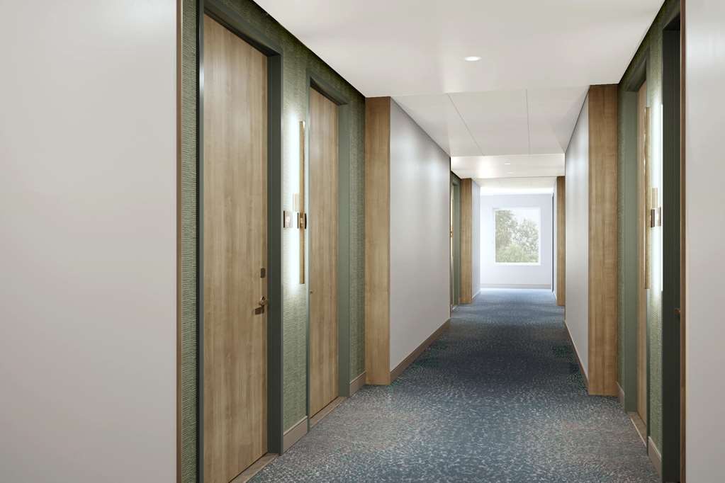 Wyndham Garden Orlando Airport - featured photo