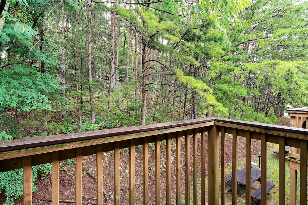 Mountain Meadows - photo 14