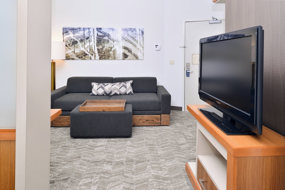 SpringHill Suites by Marriott Ashburn Dulles North - photo 11
