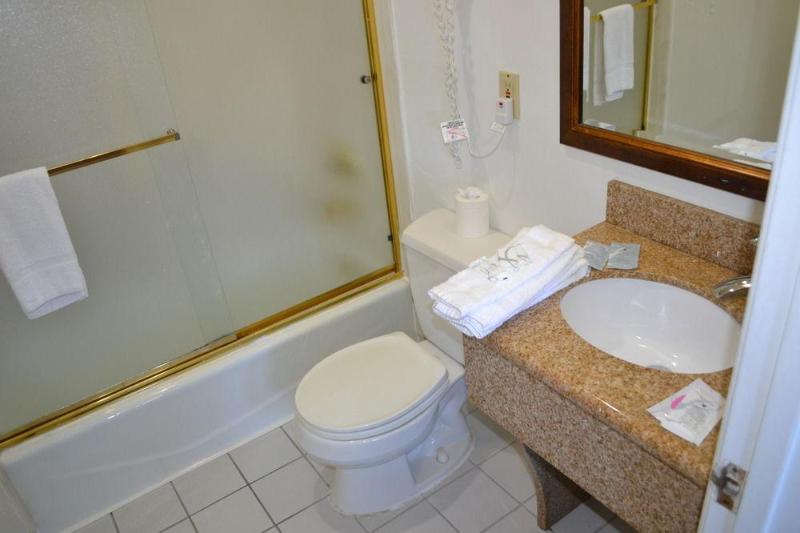 Alpha Inn & Suites - photo 19