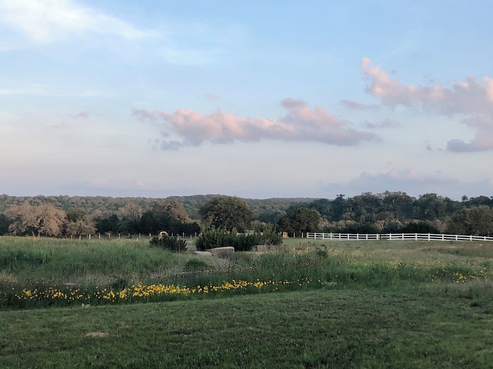 The Alexander at Creek Road - photo 308
