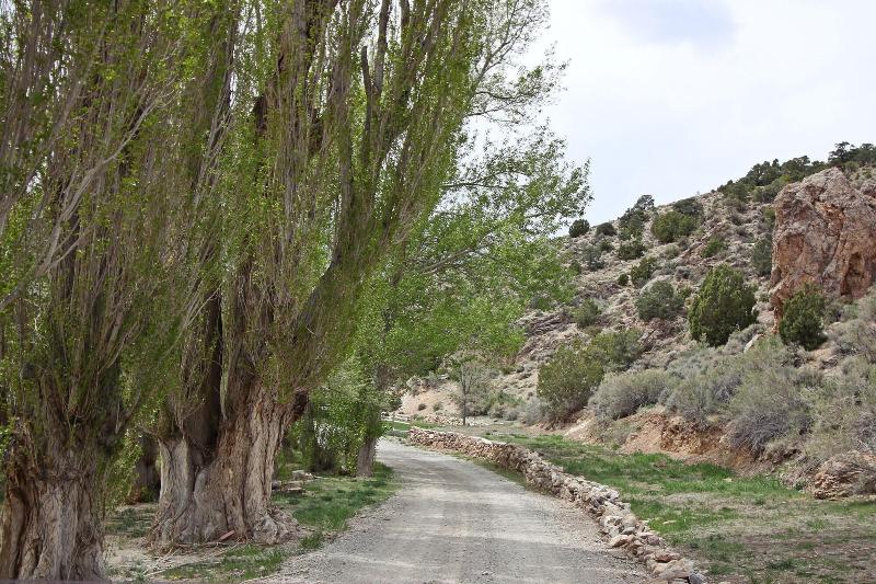 Hidden Canyon Retreat - photo 2
