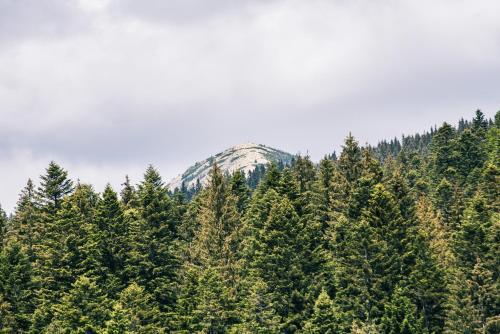 Pid Khomiakom in Tatariv, Ukraine