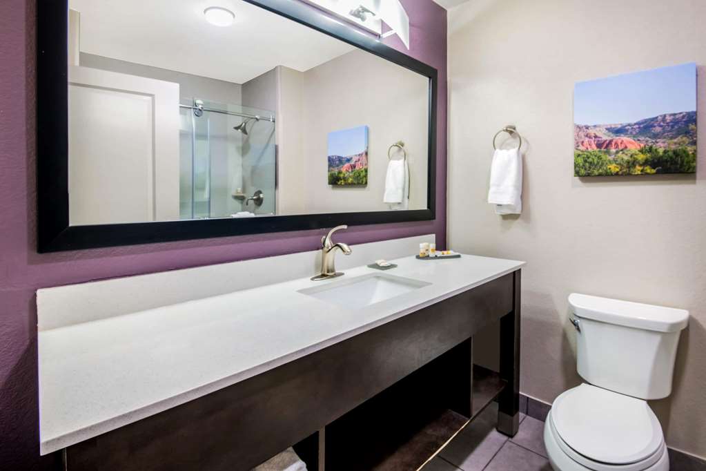 La Quinta Inn & Suites by Wyndham Pampa - photo 47