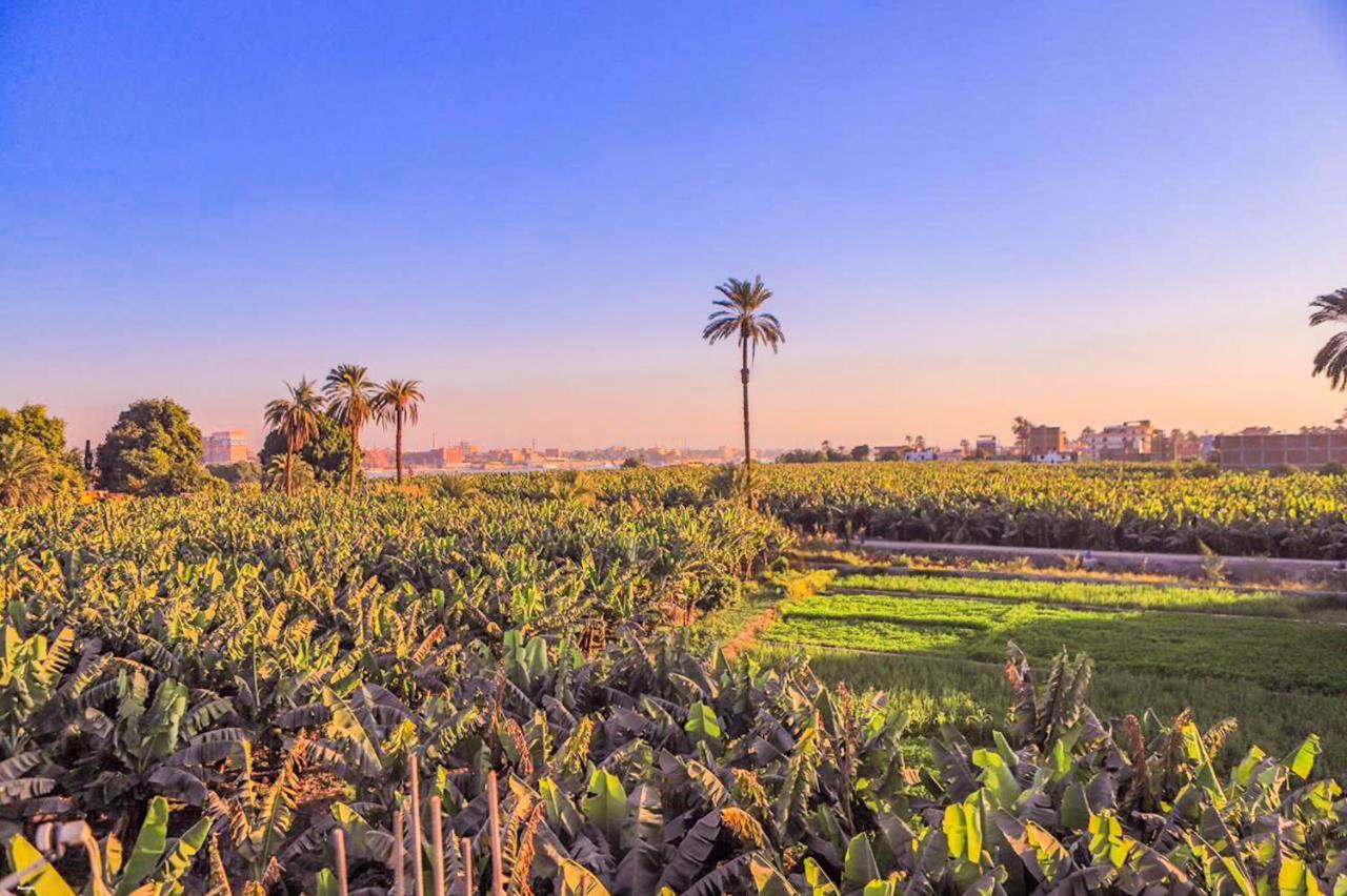 Luxor Dream Panoramic Villa
