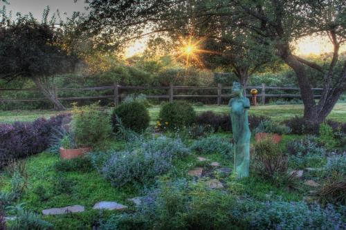 Inn & Spa at Cedar Falls - photo 33