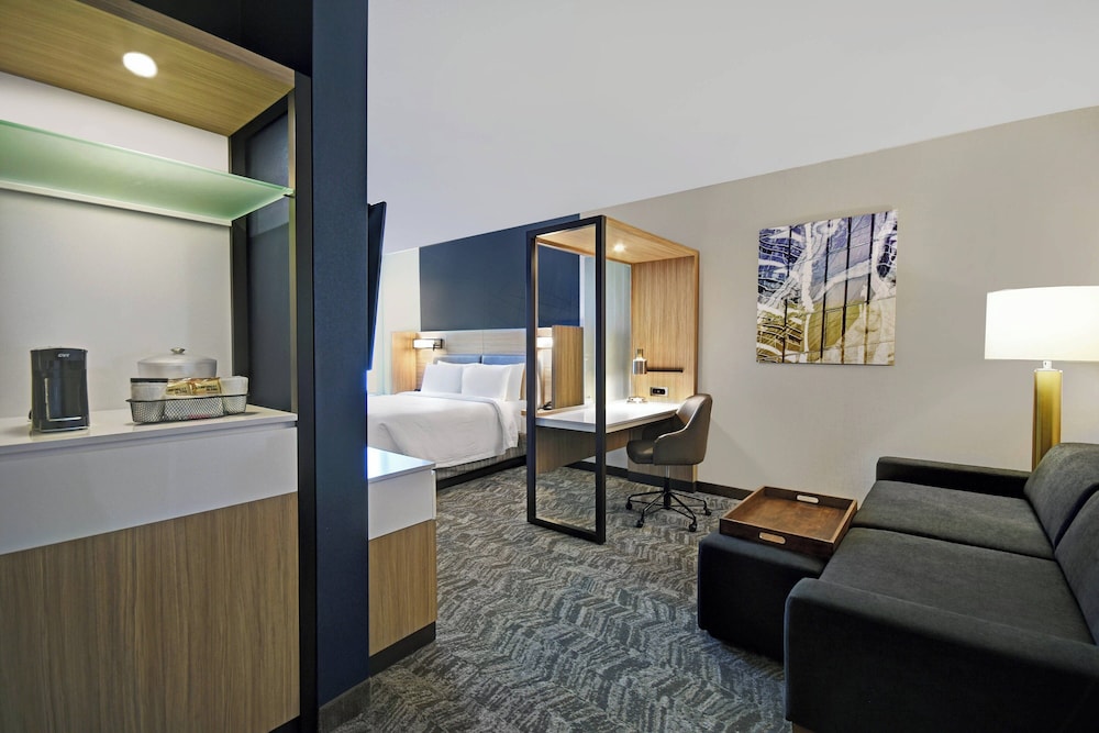 SpringHill Suites by Marriott St. Paul Arden Hills - photo 10