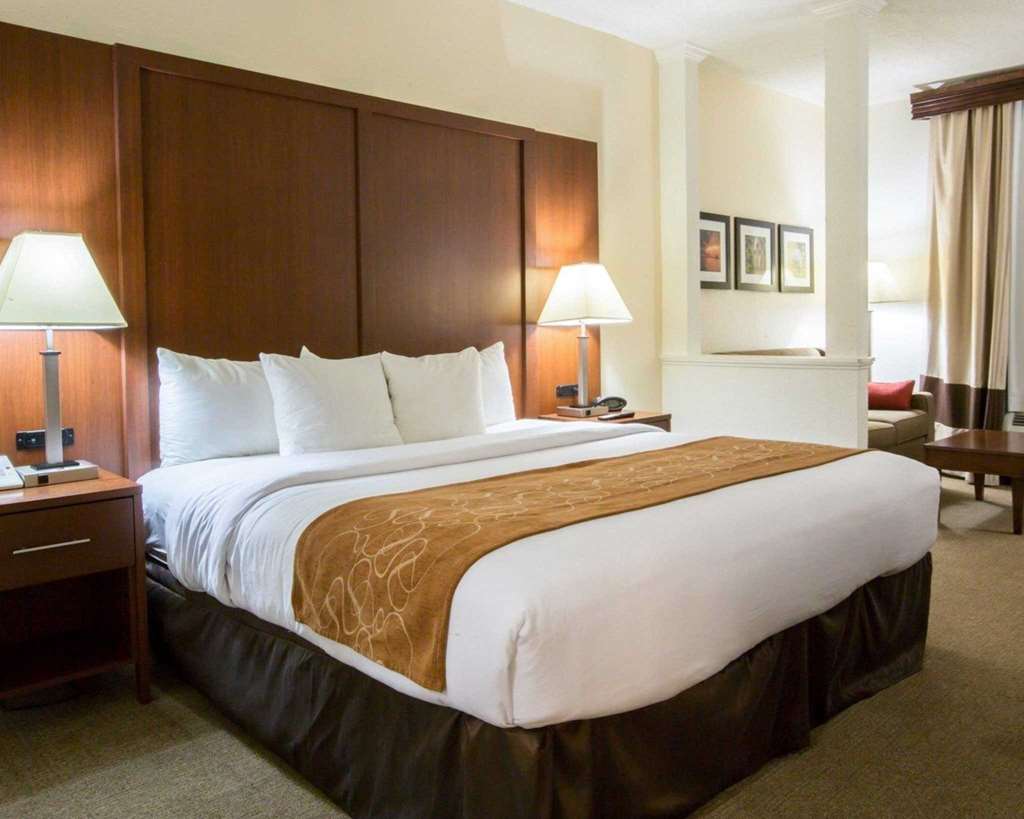 Comfort Suites Cumming Atlanta near Northside Hospital Forsyth - photo 7