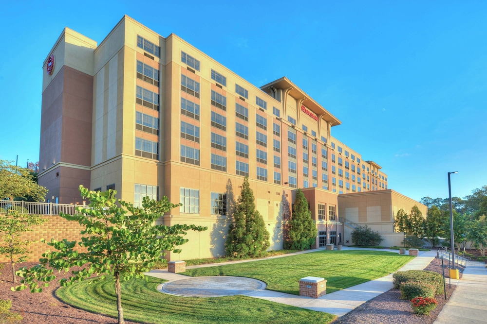 Sheraton Baltimore Washington Airport Hotel BWI - photo 54