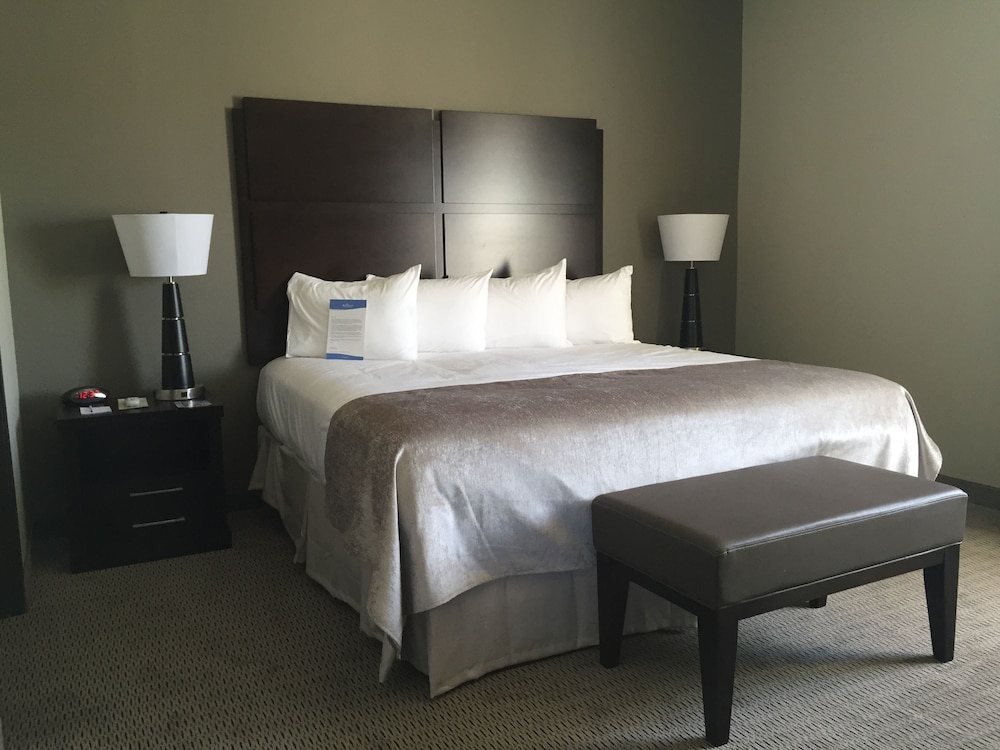 Baymont by Wyndham College Station - photo 4