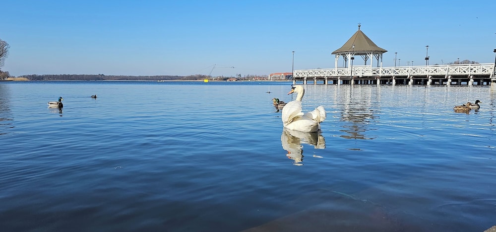 Platinum Ostróda in Ostroda, Poland