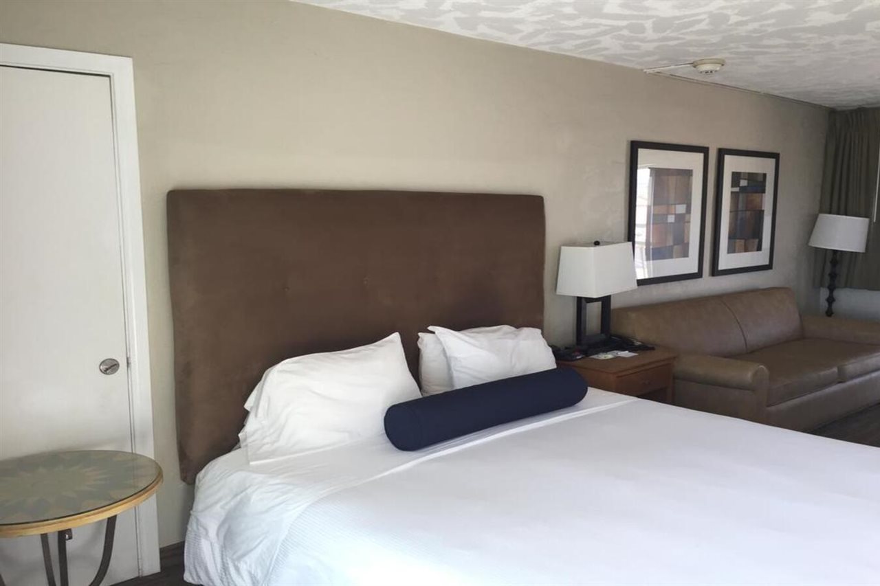 Surfer Beach Hotel - photo 7