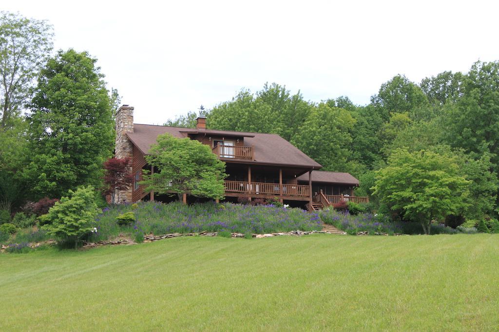 Mountain Song Inn - photo 3