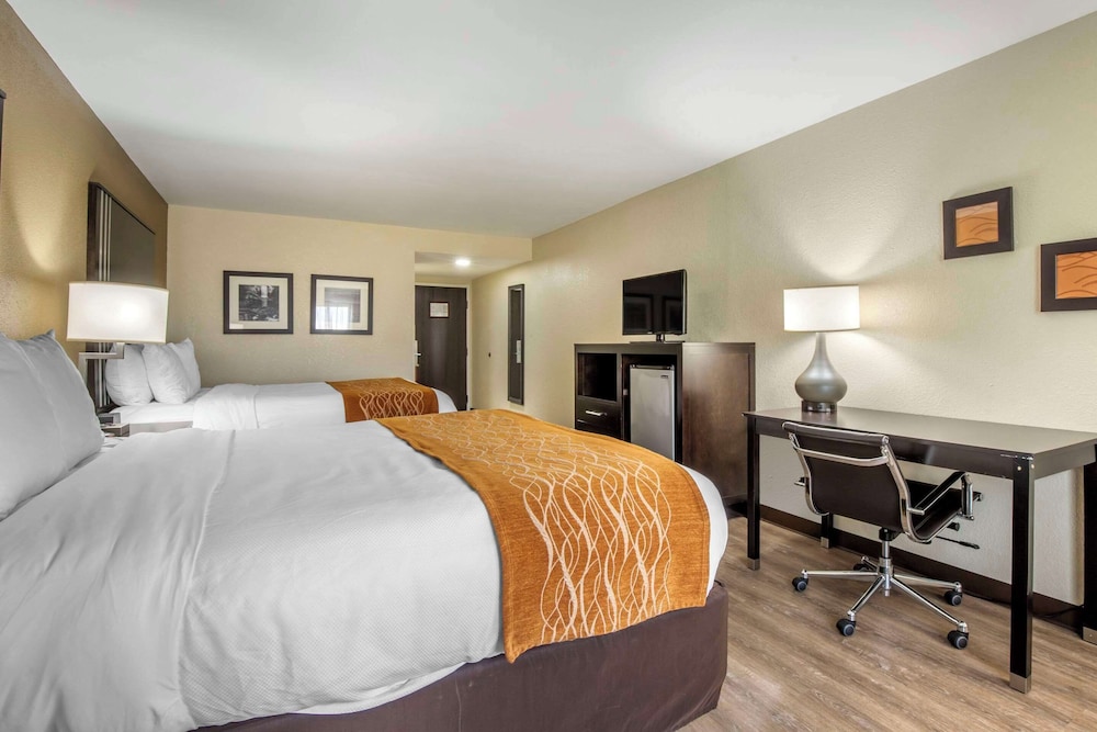 Comfort Inn Marion near Downtown & Blue Ridge PKWY - photo 20
