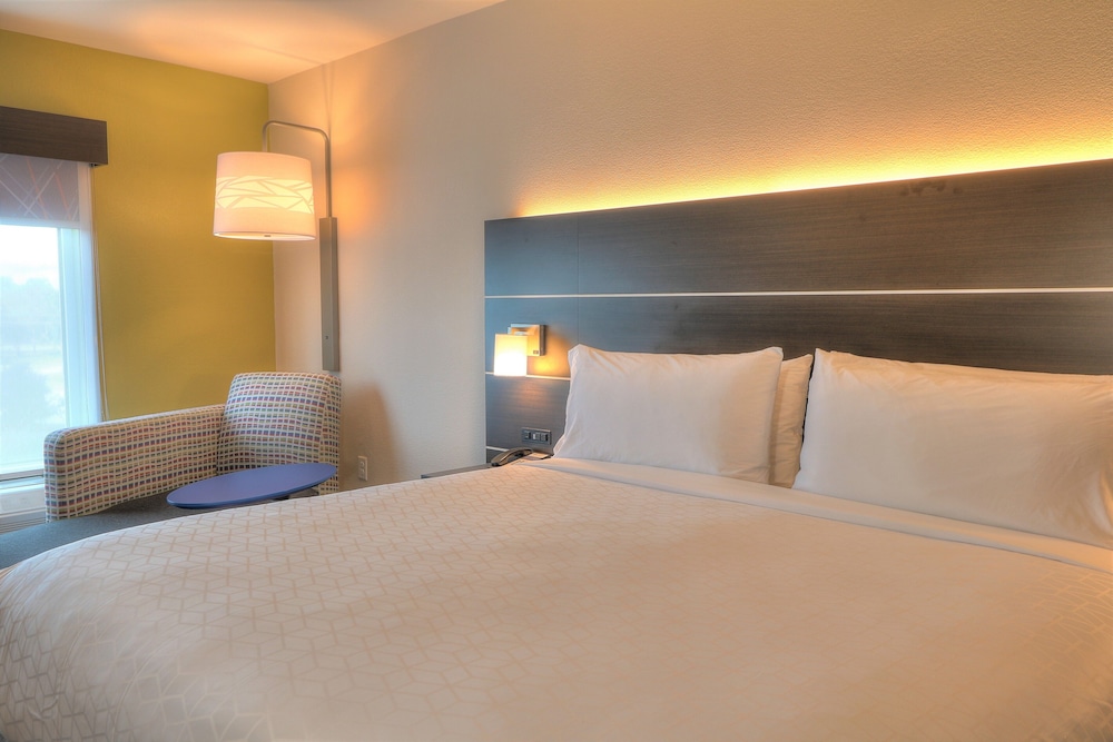 Holiday Inn Express Hotel & Suites Mobile Saraland by IHG - photo 40