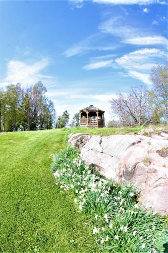The Ledges Resort & Marina — hotel in Alexandria Bay