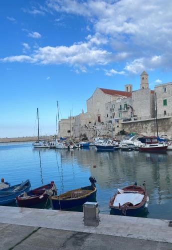 Calipso — Giovinazzo — photo 2