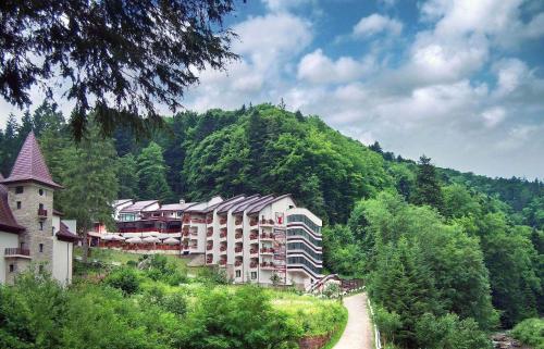 Hotel Dobru — hotel in Moinesti
