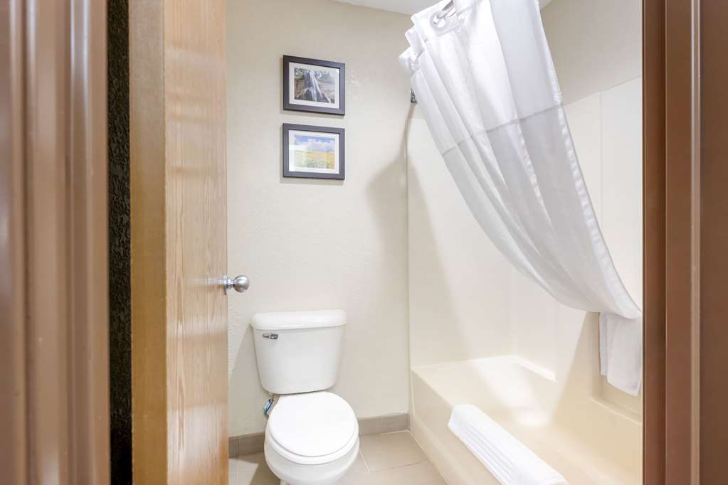 Comfort Inn Lexington - photo 11