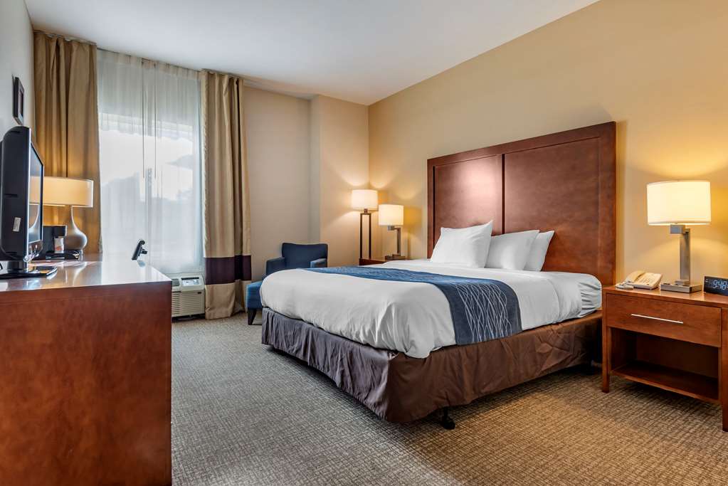 Comfort Inn Apalachin Binghamton W Route 17 - photo 3