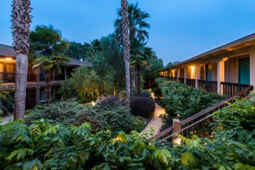 El Pueblo Inn - photo 13