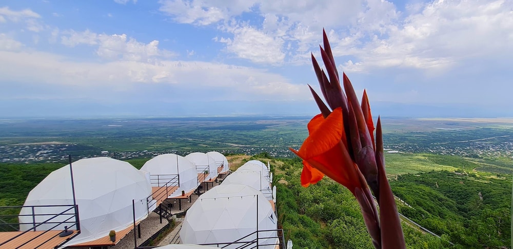 Signagi Glamping — hotel in Sighnaghi