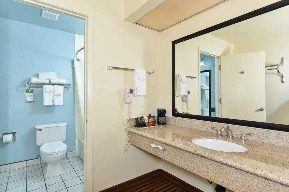 Best Western Western Skies Inn - photo 14