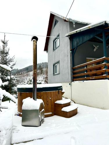 Cabana din Lunca — Lunca Bradului — photo 2