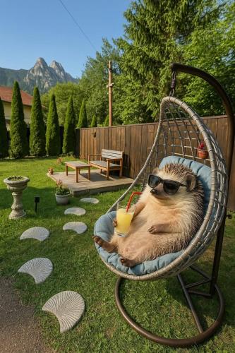 Umani Retreat in Busteni, Romania