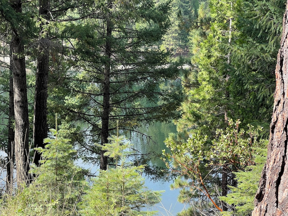 Mount Shasta Resort - photo 95