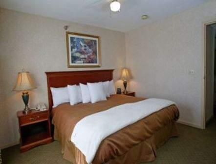 Premiere Suites - photo 11
