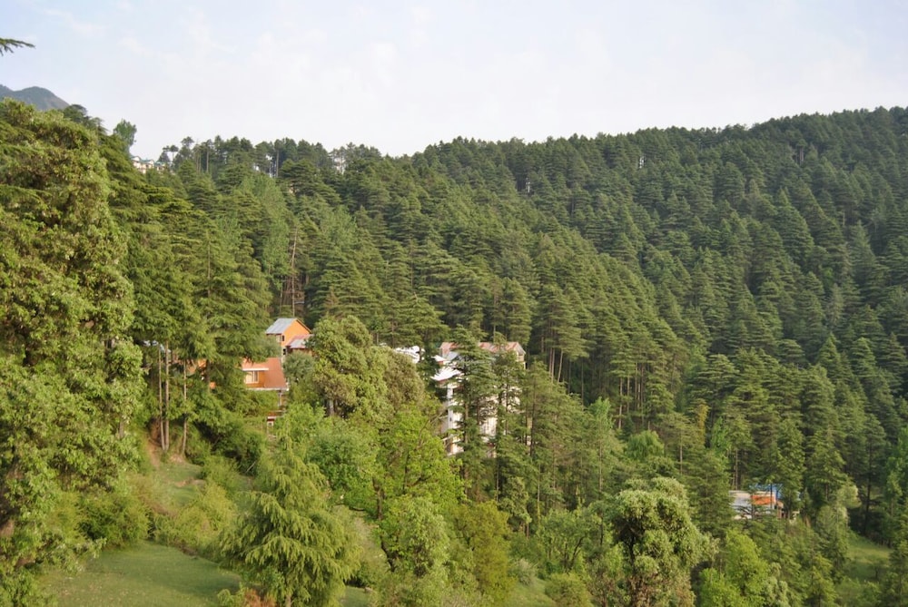 Hotel Dogra Residency — Udhampur — photo 3