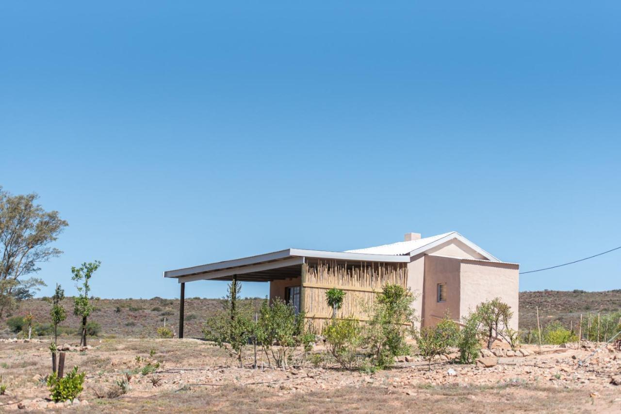 Fossil Hills — Mcgregor — photo 2