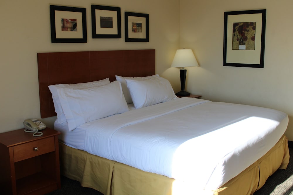 Holiday Inn Express Vernal Dinosaurland by IHG - photo 17