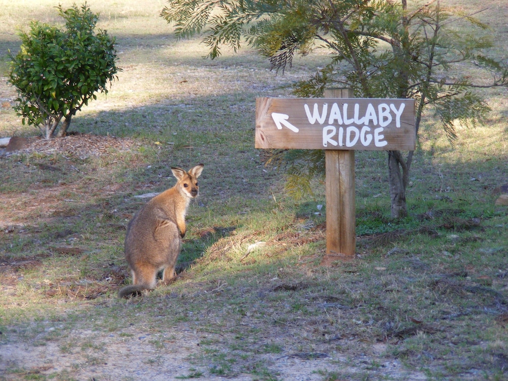 Wallaby Ridge Retreat — 4-Star Luxury Hotel in Tamborine Mountain, Australia