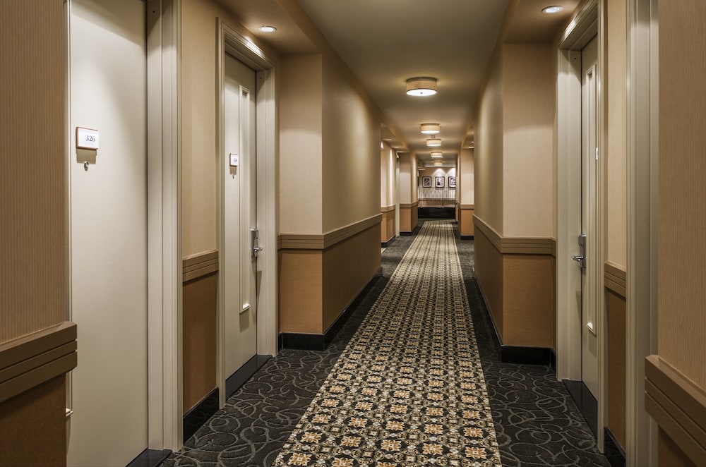 Opera House Hotel - photo 33