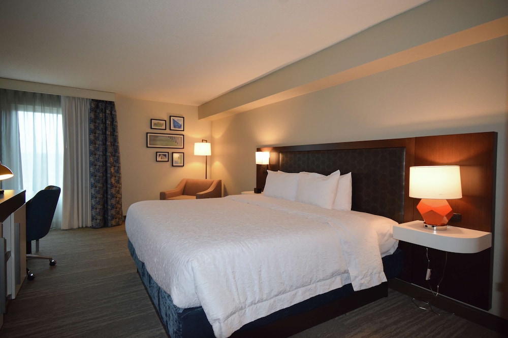 Hampton Inn Salem East Electric Road - photo 23